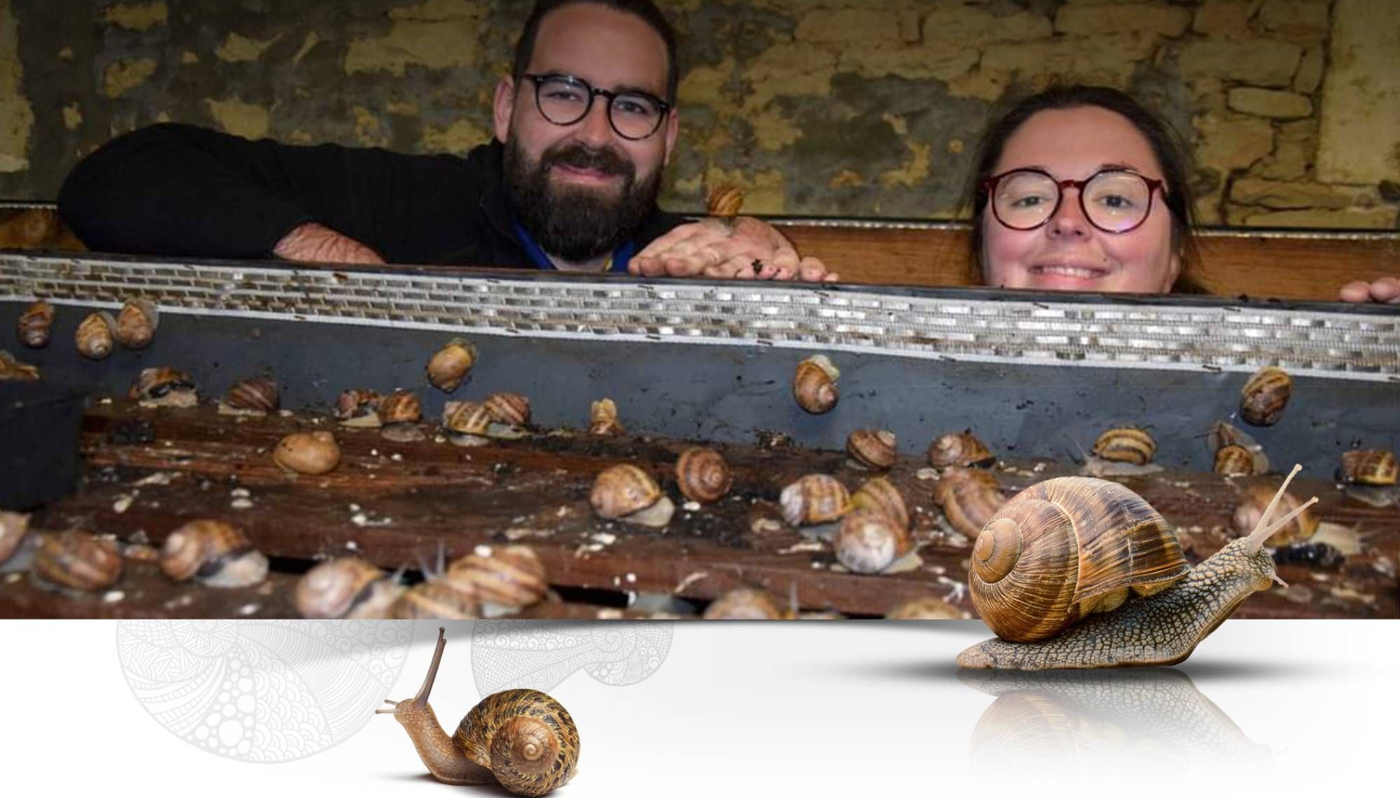La Cagouille Charentaise